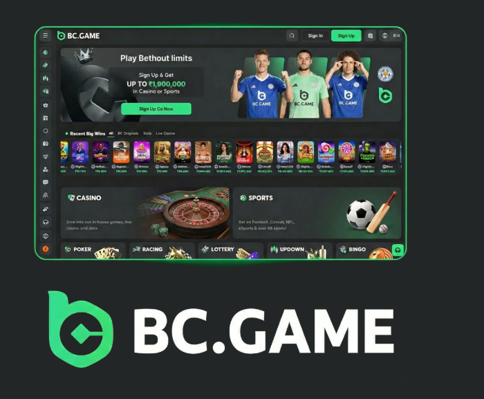 The Ultimate Guide to BC.Game Betting App